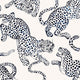 $Womens Accessories