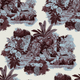 Women's Cotton