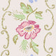 Women's Cotton